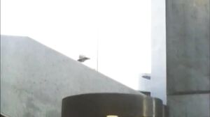 Inside Desiree Cousteau