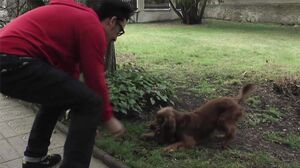 MagmaFilm - The maid fantasy