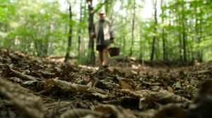 Lovita Fate - Old'n Young