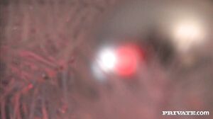 A Christmas Gangbang for Stella Delcroix