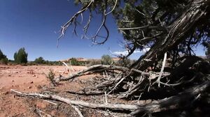 Phoenix Marie - Captain America XXX Scene 3