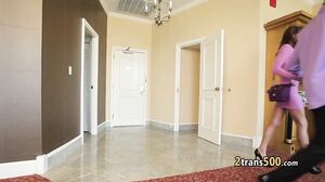 Slim shemale tgirl takes black cock