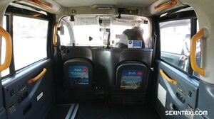 Sexy Blonde Widow Got It Hard In The Taxi - Brittany Ba