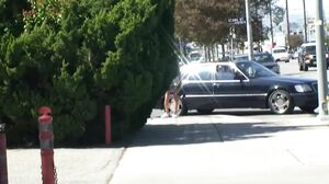 MagmaFilm - Down to the Beach