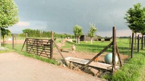 MagmaFilm - I Prefer Your Pussy Smell