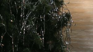 Phoenix Marie - Toys In Babeland 6