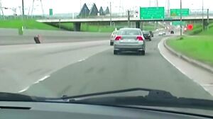 P3g@sProductions - Sous Le Pont De Quebec