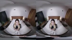 Safira Yakkuza - Can't Believe You Did That