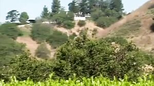 Ass Stretchers 3 (2003) Scene 3. Ariana Jollee, Alex Sa