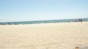 Mulattas, the best bitches in the world