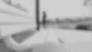 Anal Fun With Elegant Babe