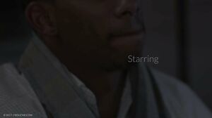 FrolicMe - Cuban Cigar