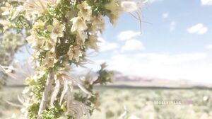 Molly Pills - Outdoor Young Public Masturbation on Hike 2