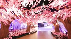 Naqaab Uncut (2022) Hindi NeonX Short Films