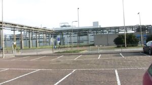 Antilliaanse Naomi zorgt voor knallend geile sex