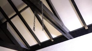 Steffi en Bjorn willen Meer - VurigVlaanderen-Meiden