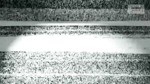 406FTHT-070 [Squeeze the rod and lick the ball up to th