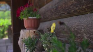 Hegre - A Day In The Life Of Tiana