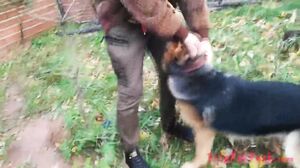 Kate Rick & Pippi - Threesome with Kate and Pippi, sexy lingerie as a cat