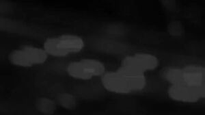 ABS-082 Lover's Suite Rina Kato