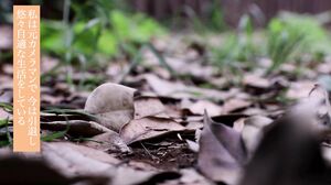 723GGH-005 Miria F Cup (28) Erotic Whip Camera Girl I M