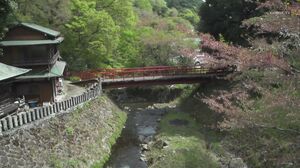 DLDSS-145 Mixed Bathing Hot Spring NTR I Impregnated My