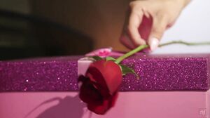 Veronica Rodriguez - Bed Of Roses - S12:E13