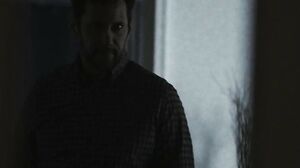 Cadence Lux What's Best For You