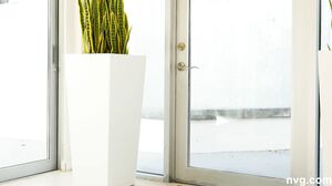 Vixey - OMG, The Latest NVG