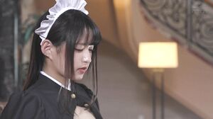 ZEX-421 Maid Education. – Fallen Aristocrat Rurikawa Ca
