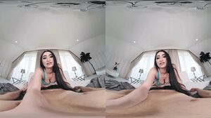 Didi Zerati - French Bush