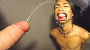 Ladyboy Cat Gives Blowjob After Getting Pissed On