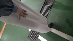 733CLT-001 E-Cup Breasts Female Announcer Private SEX P