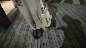 733CLT-002 Busty Female Anchor Skinny Plump Vulgar Aheg