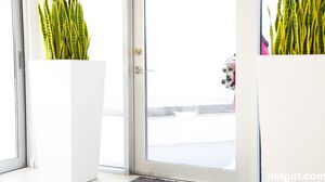 Mila & Sona - These Girls Are The Perfect Match