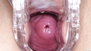 Inside Ani - PJ Girls