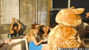 DANCING BEAR - Early CFNM Strip Show With a Live Band!