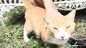 4th Of July - Alyssa Lynn