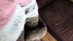 LuxuryLovers - Fucking With Lover And Talking To Manžel