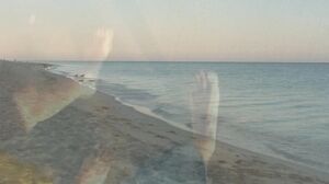 Ivana - Blowjob on the beach!