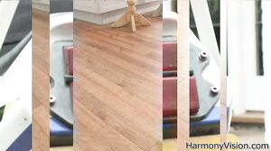 Alexa Andreas - HarmonyVision