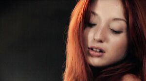 Call me Fox - The Red Fox