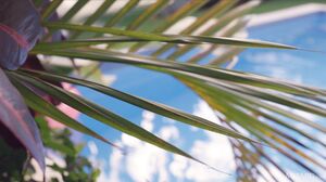 Clarice - Stay Home in 4K