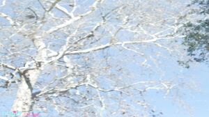 Maria Anjel Gets Stepdaddy's Seed For Her Garden