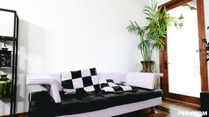 Cali Lee - Underneath the Hijab