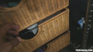 Danica Dillon - Hot And Wild Maternal Guidance