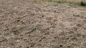 FONE-155 Look At The Amazing Furnace! Yukapon Is A Chee