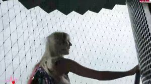 AmyStarr - Public - Gefickt auf dem Aussichtstum