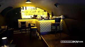 Lana Roy - Hot Bartender Butt