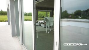 Lara Lee - Hot Pursuit